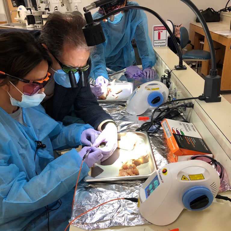 Hands-On CE Laser Training